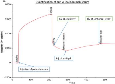 Pneumococcal Polysaccharide Vaccination Elicits IgG Anti-A/B Blood Group Antibodies in Healthy Individuals and Patients with Type I Diabetes Mellitus